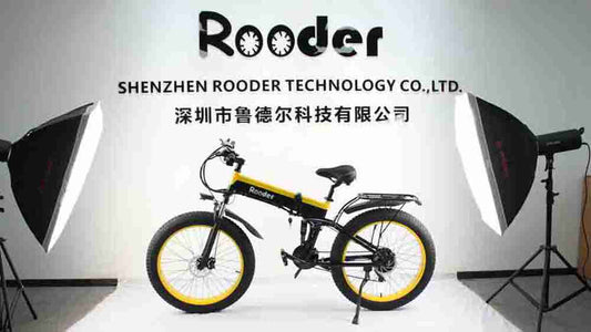 20 Folding E Bike