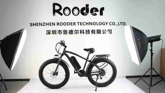 2 Wheel Electric Bike