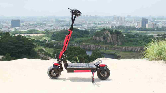 3 Wheel Electric Scooter Stand Up