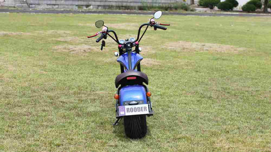 Moped Scooter For Adults Factory