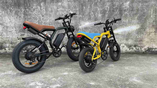 1000w electric bike wholesale