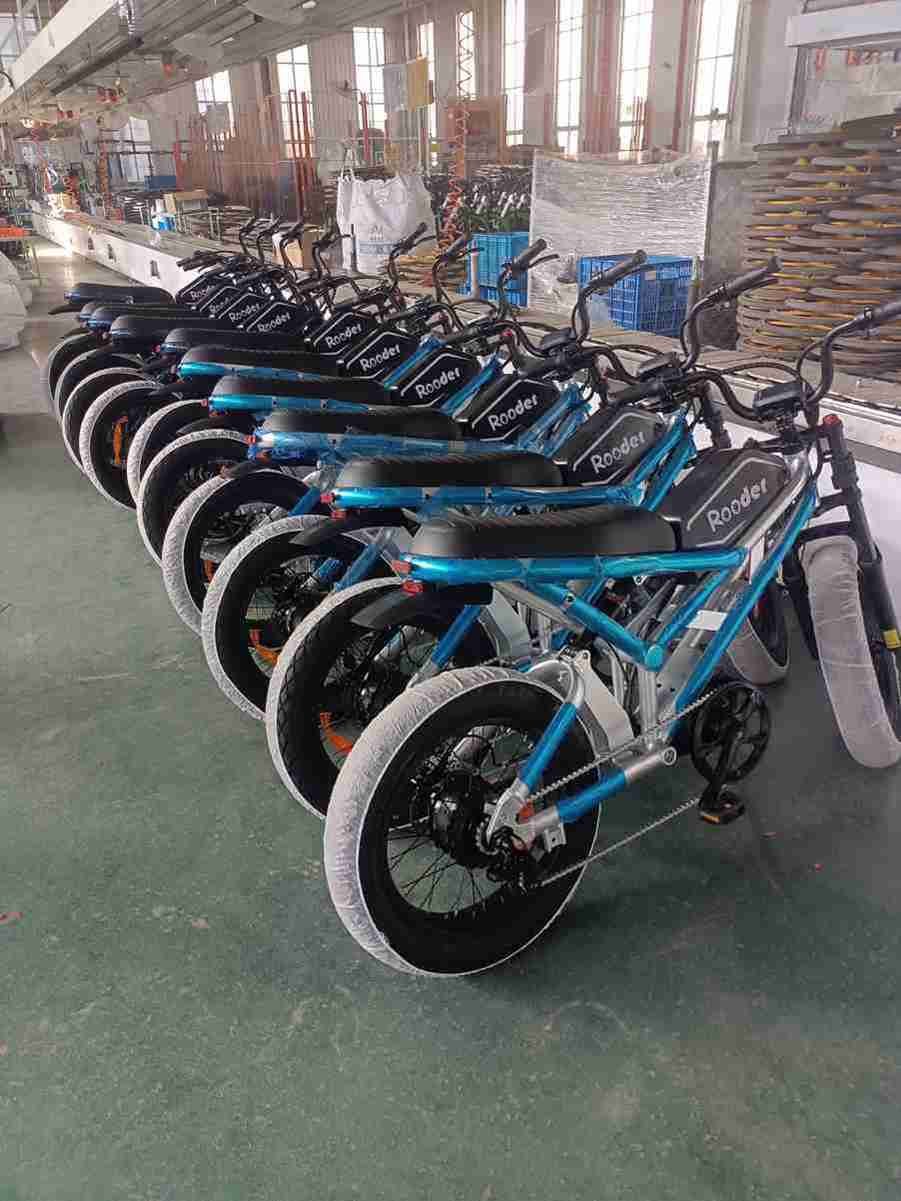 20 Electric Bike wholesale