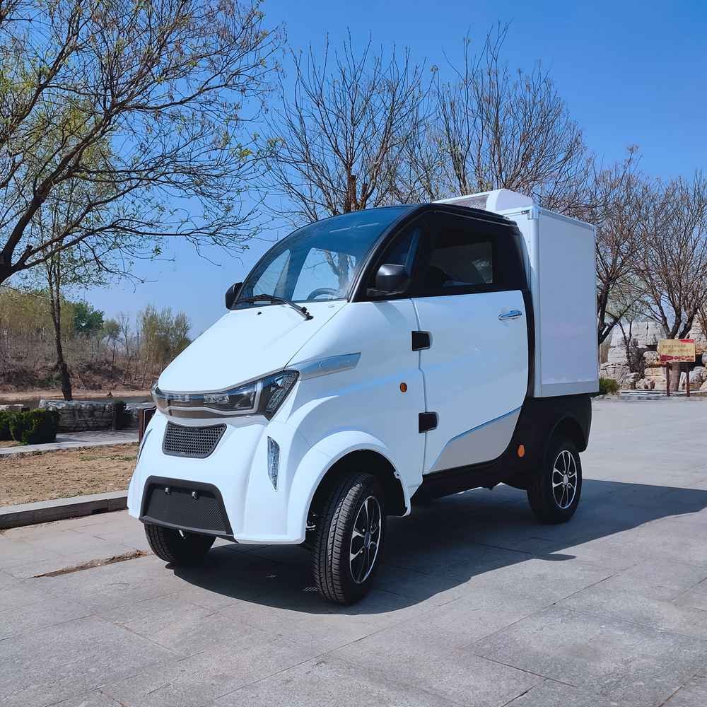 buy electric car used factory wholesale price