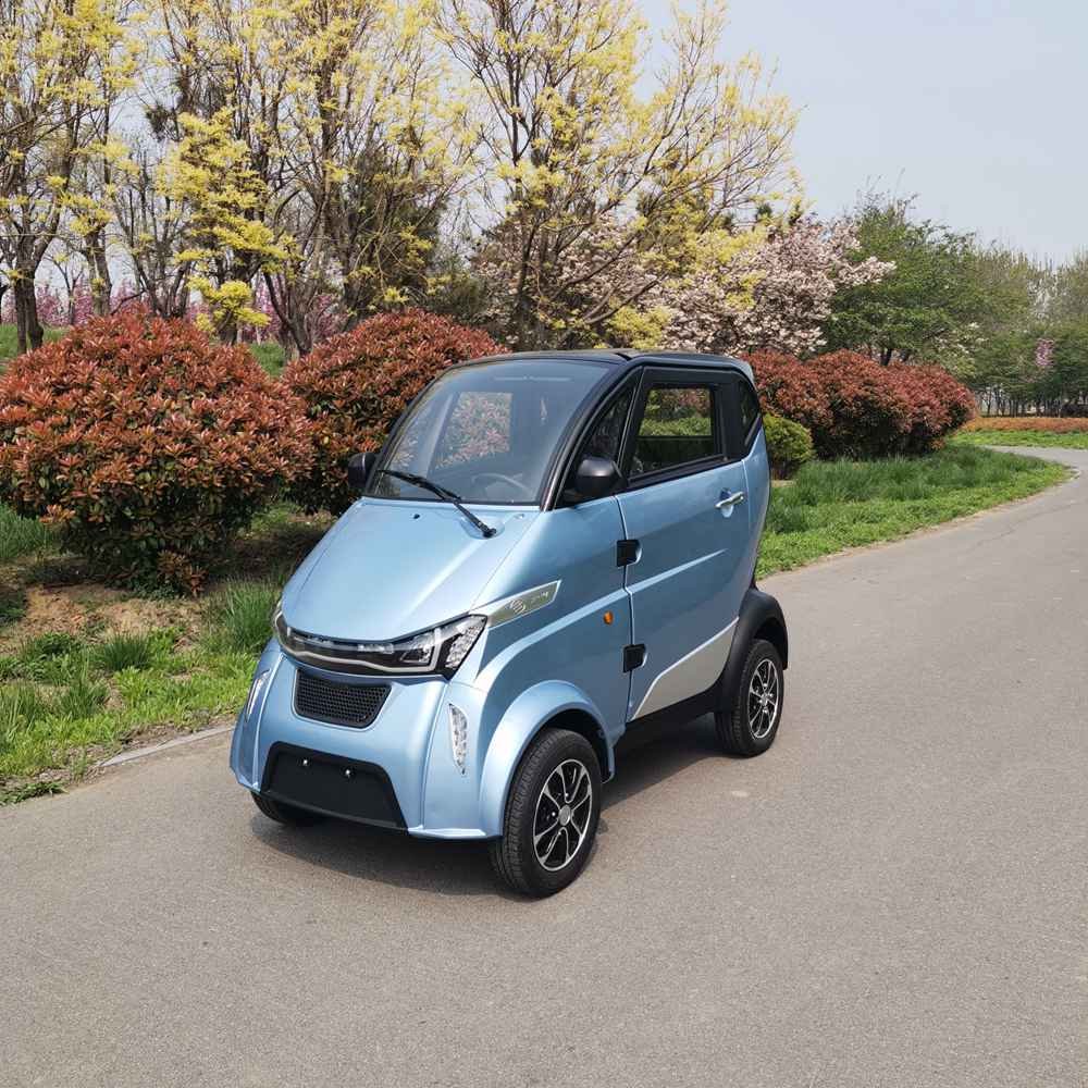 best electric vehicles of 2024 factory wholesale price