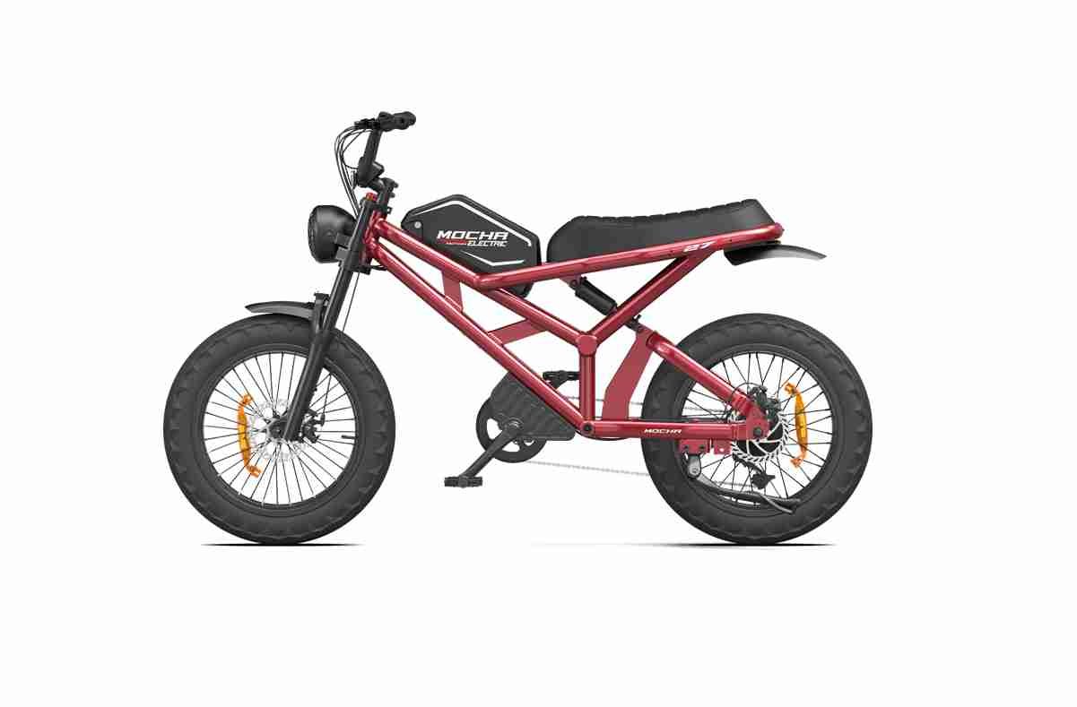 E Fatbike wholesale