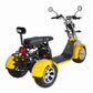 Rooder r804t8 EEC COC 60V 40Ah 2000W Electric Trike Scooter