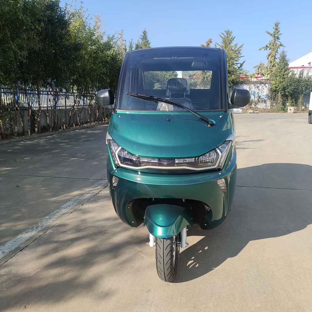 negatives of electric vehicles factory wholesale price