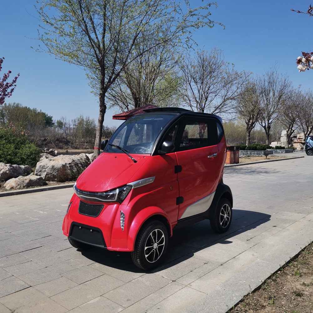 new electric car company factory wholesale price