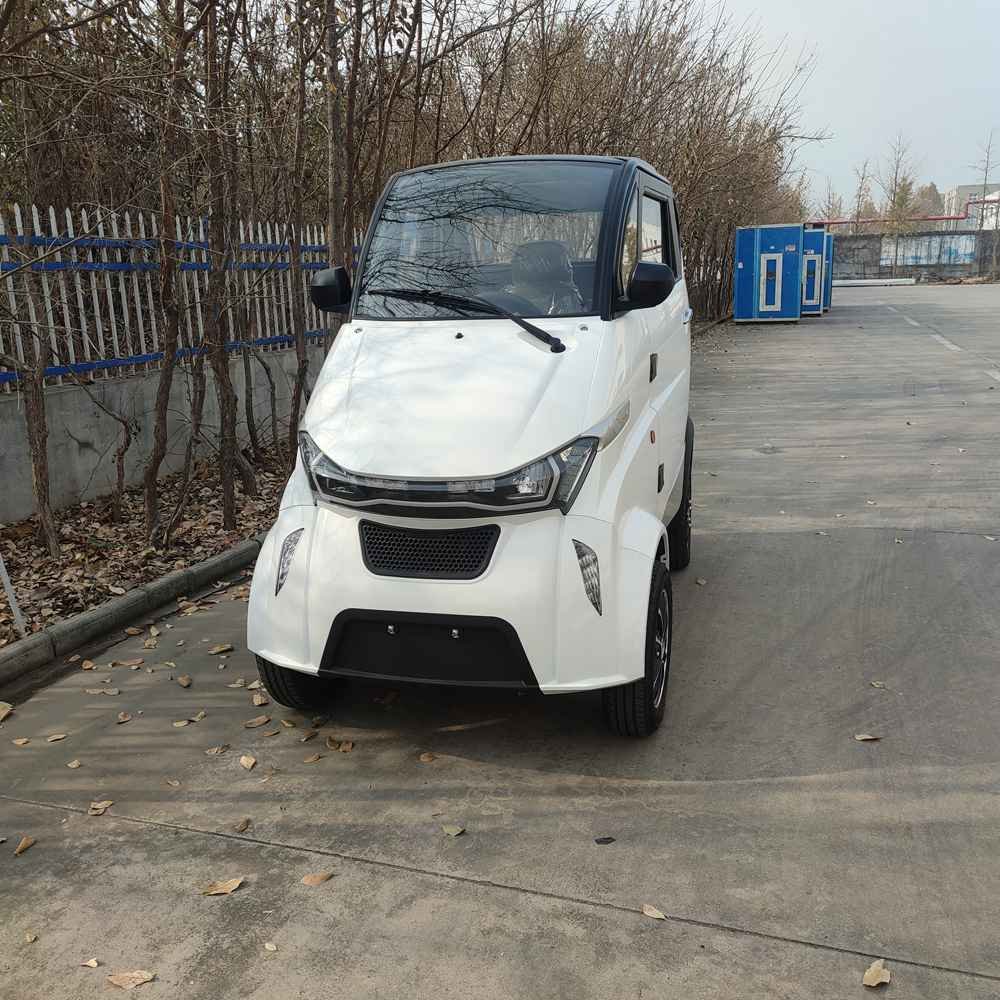 electric car in the philippines for sale factory wholesale price