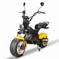 citycoco Rooder r804-x17 electric scooter 2000w 3000w 20ah for sale