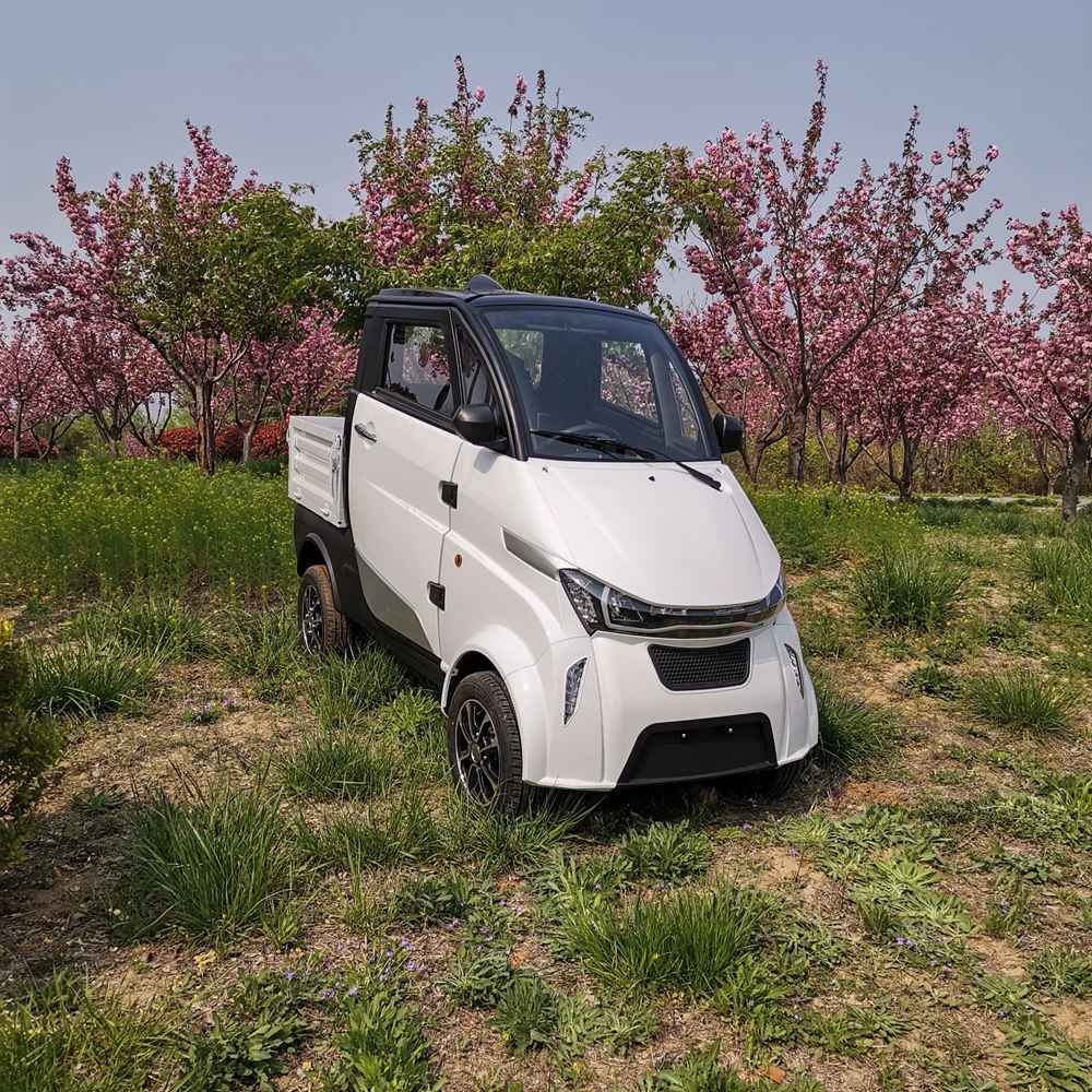 small 4 wheel electric vehicle factory wholesale price