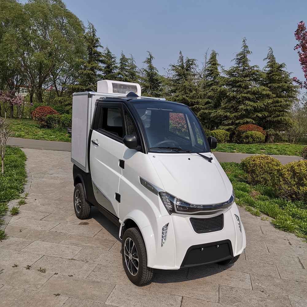 best electric small car uk factory wholesale price