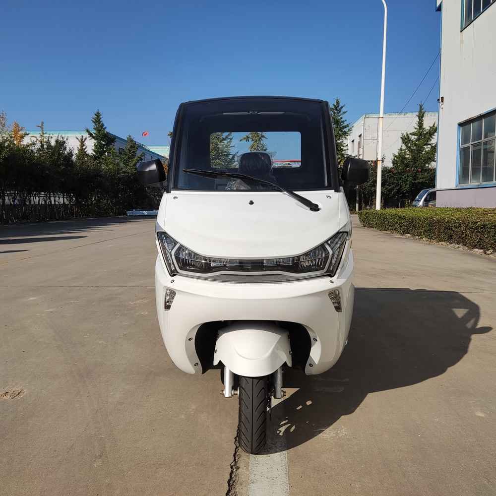 driving ev factory wholesale price