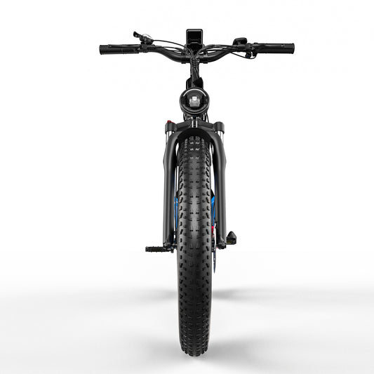 electric mountain bike E·BYCCO EB9 52V23AH EU