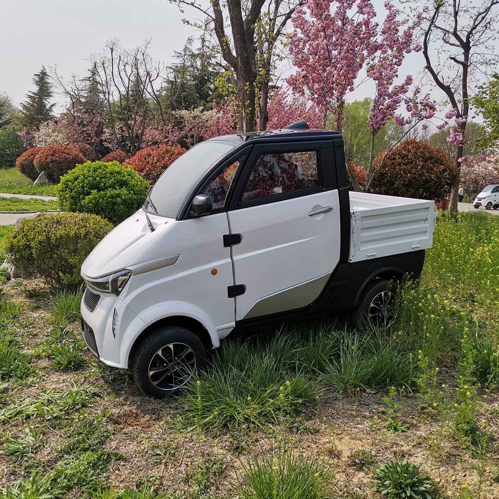 electric car in low price factory wholesale price