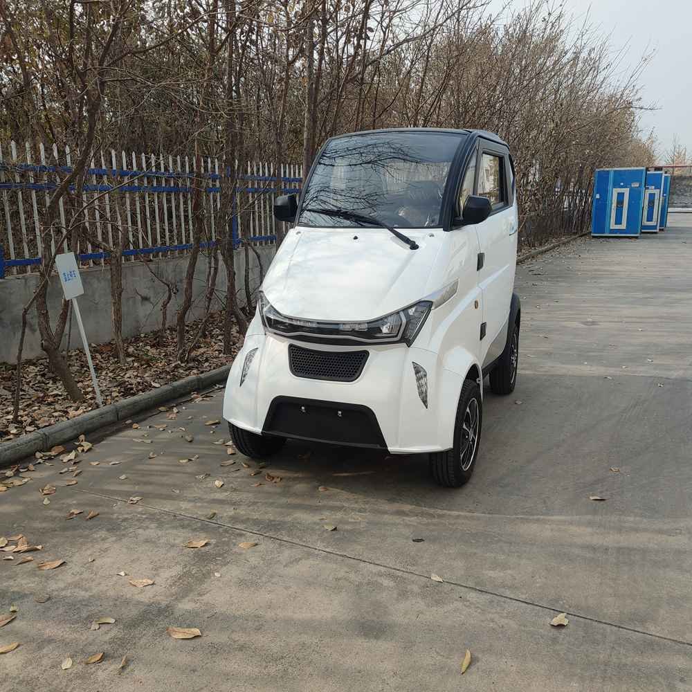 electric car production factory wholesale price