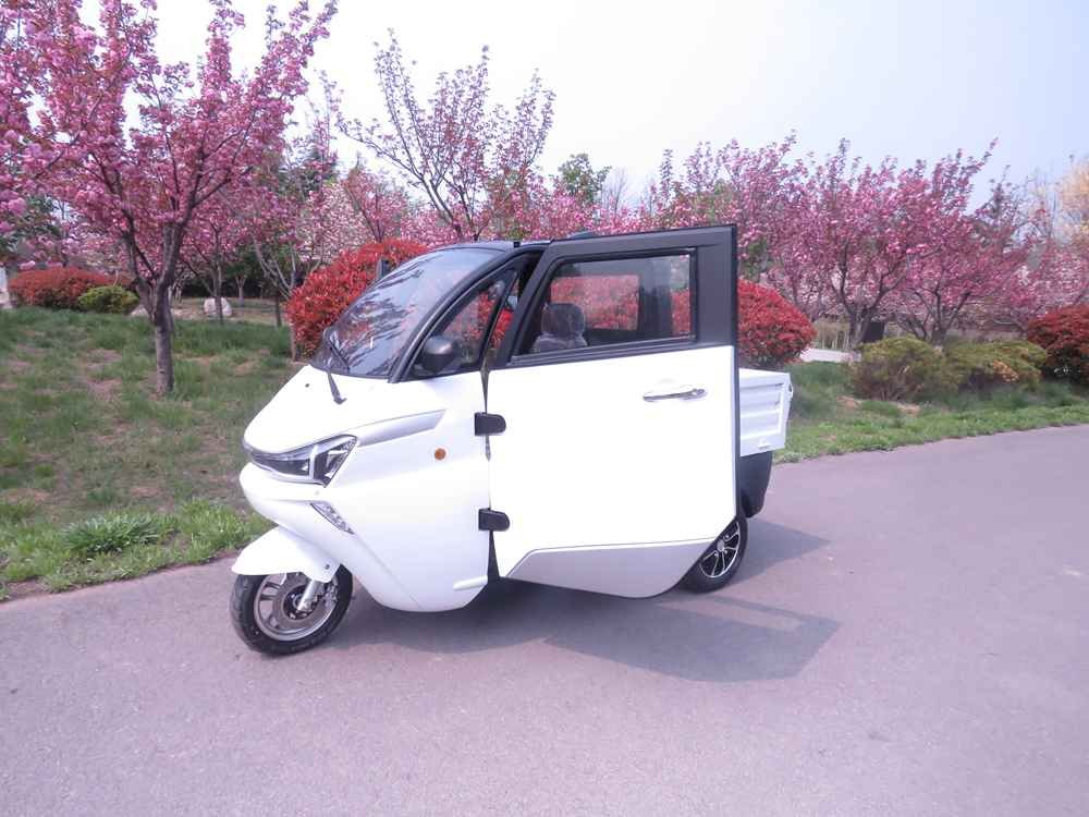 cars electric car factory wholesale price